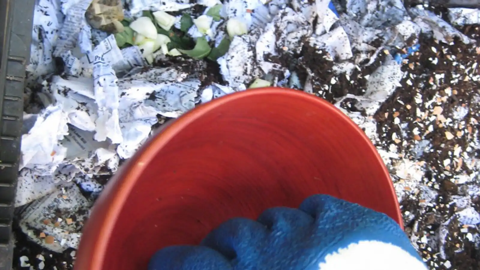 Portada de Cómo alimentar una vermicompostera sin sobrecargarla