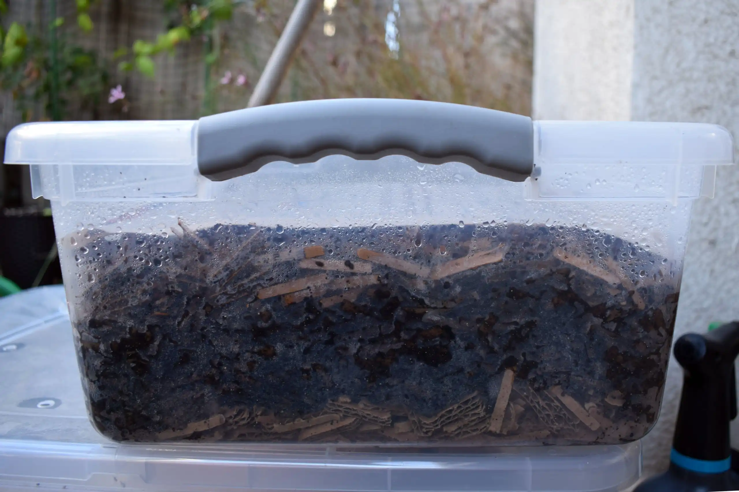 Vermicompostera compacta en un balcón protegido, con cartón húmedo y material orgánico visible a través del recipiente.