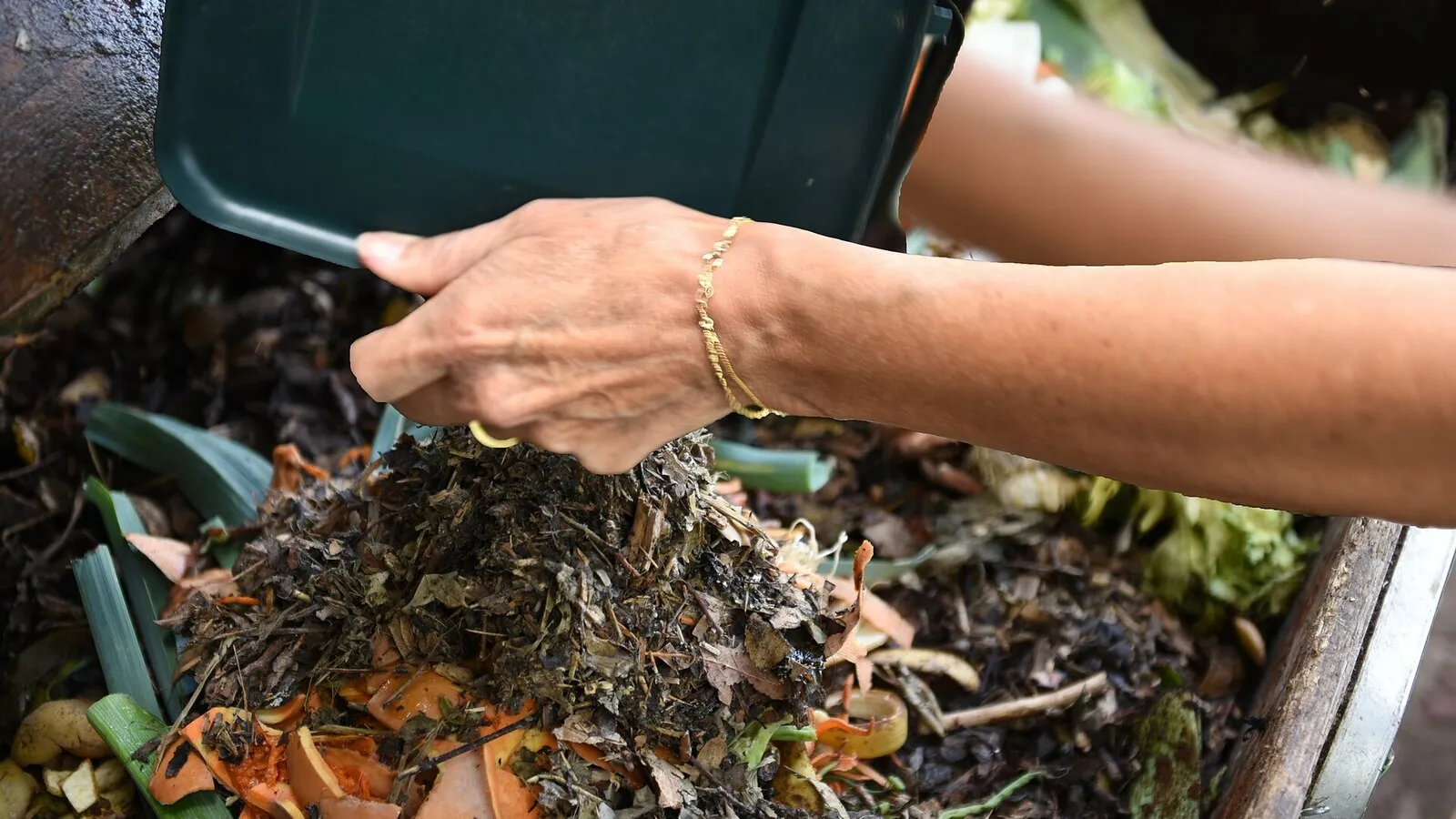 Manos agregando cartón picado para recuperar la estructura de un compost húmedo