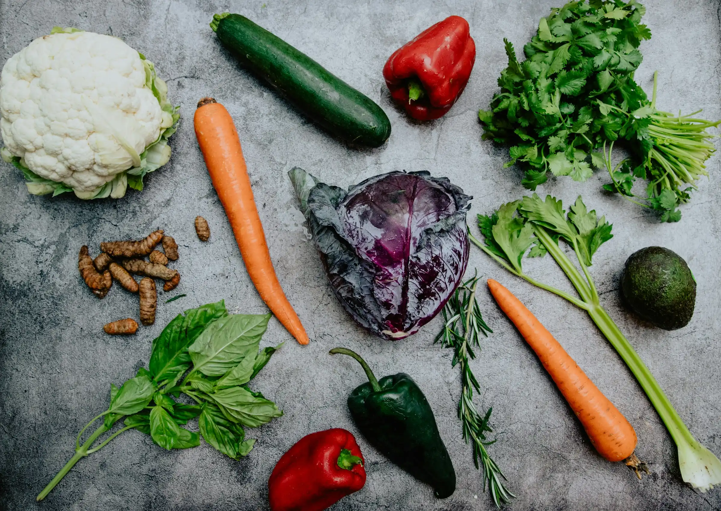 Portada de Qué alimentos no debes dar a tus lombrices